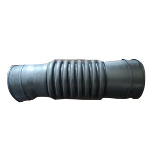 Hose